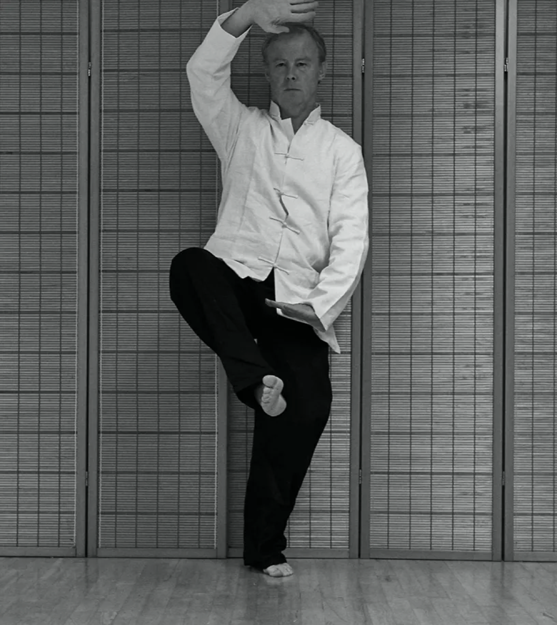 Stephen Forde performing XingYi Pao Quan